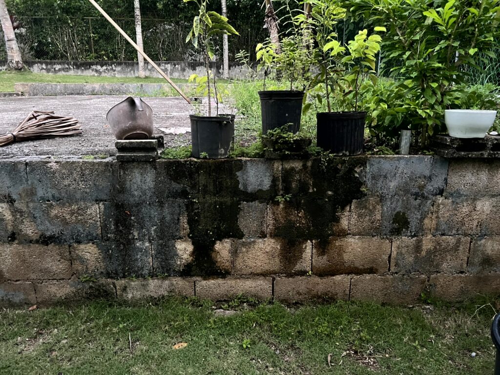Before pressure washing