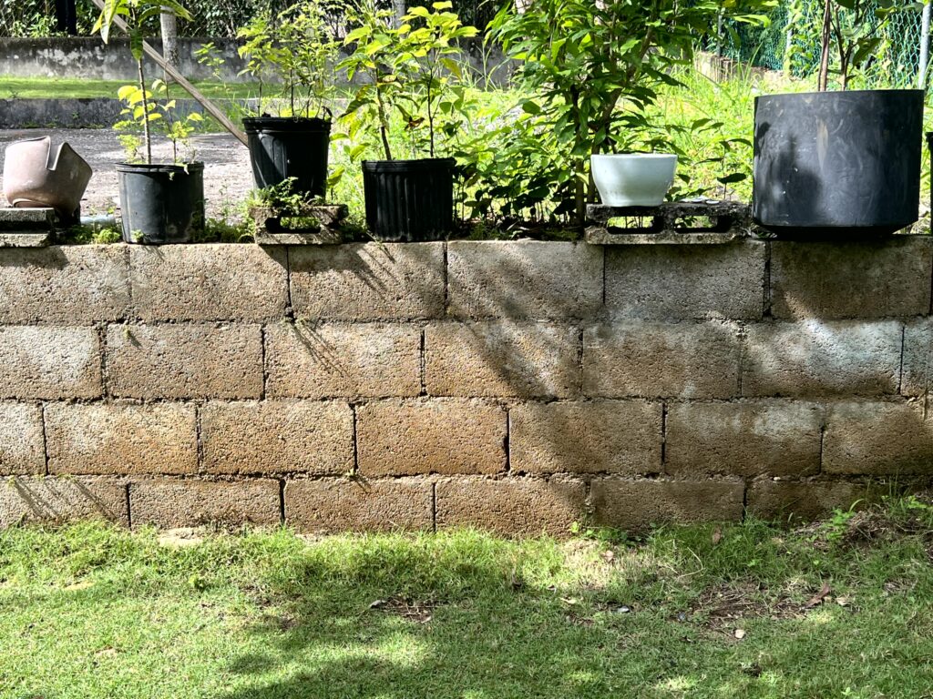 After Pressure Washing