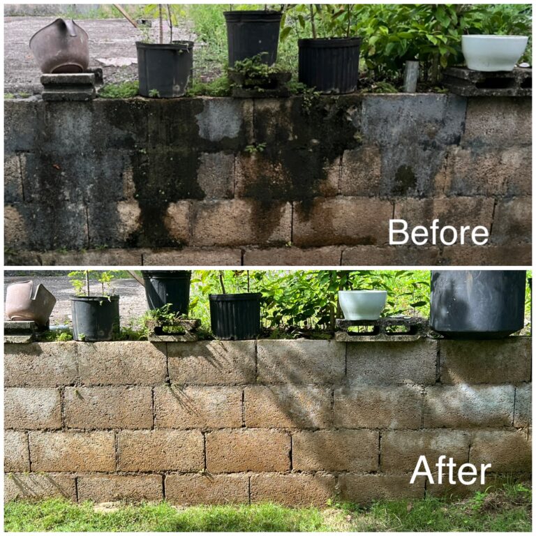 Pressure washing in progress on a brick wall, removing dirt and grime to restore its original clean appearance